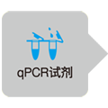 qpcr试剂